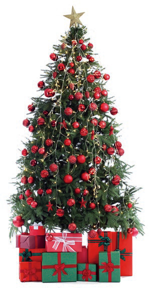 Decorating the Christmas Tree